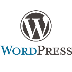 Wordpress live chat for business websites