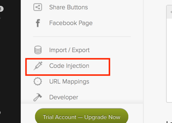 Inject Visitlead code for Squarespace